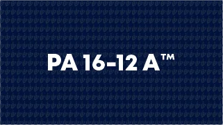 PA 16-12 A