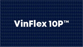 VinFlex 10P