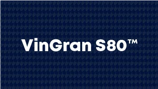 VinGran S80